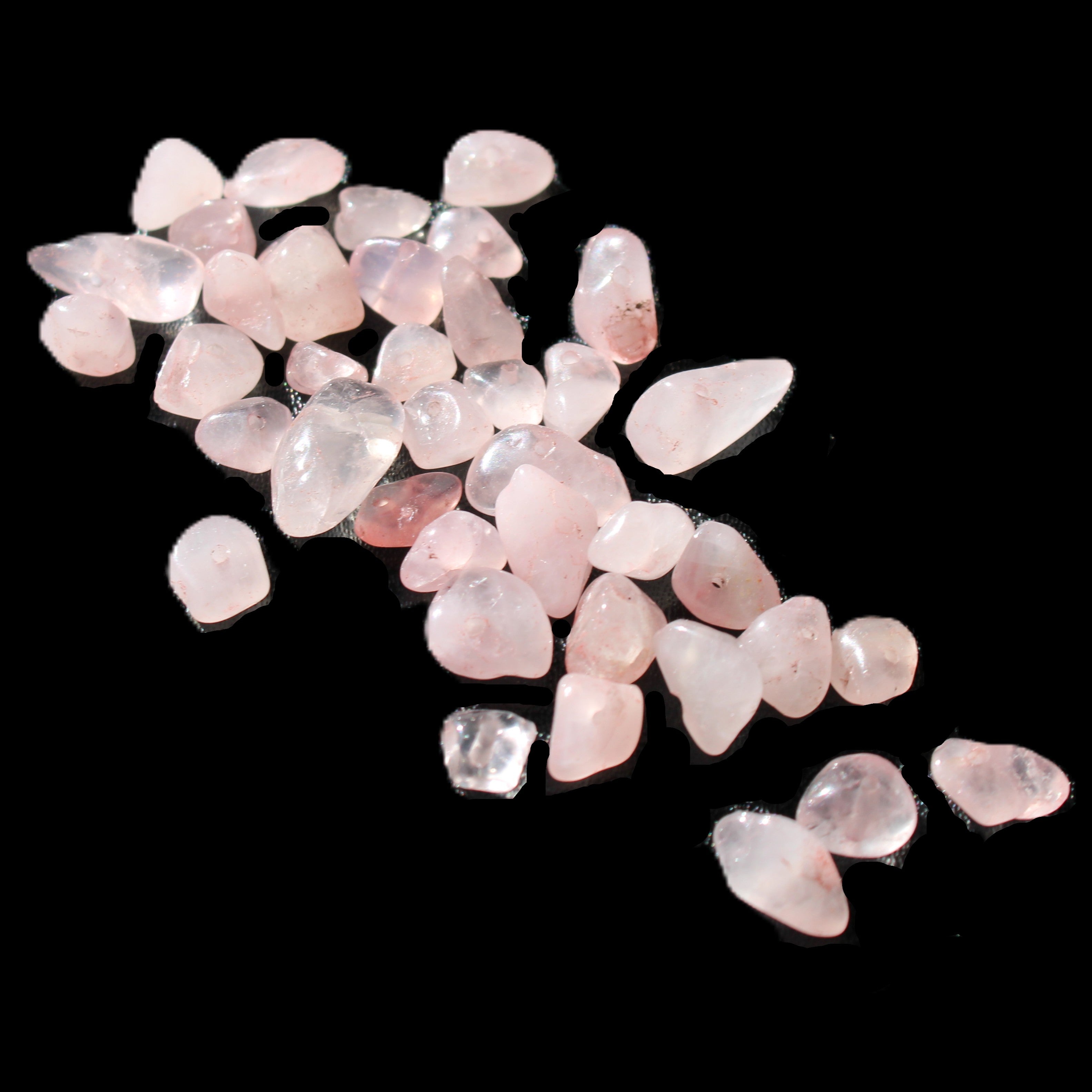 Rose Quartz 40 tiny drilled beads in bright sunlight - Rocks and Things Store