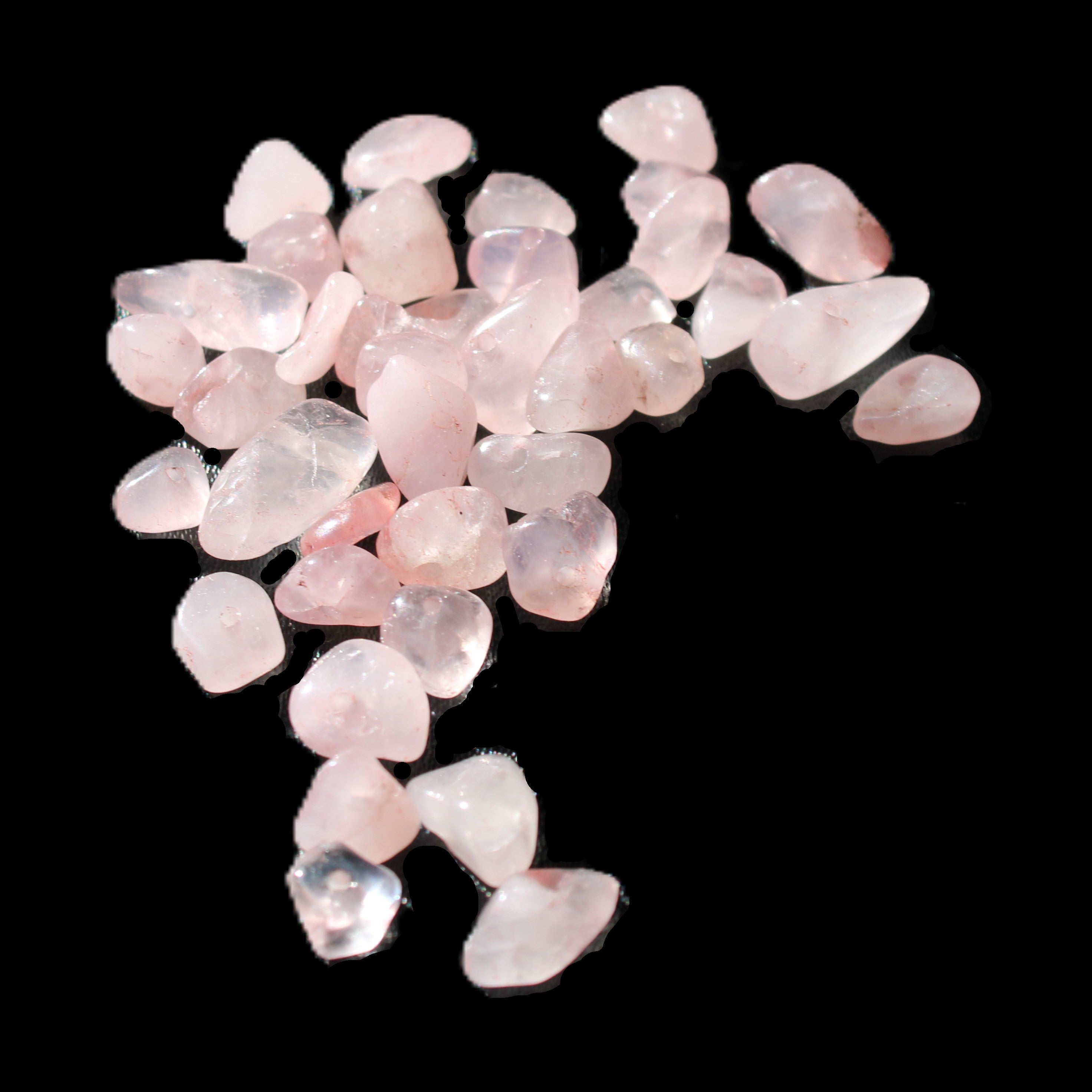 Rose Quartz 40 tiny drilled beads in bright sunlight - Rocks and Things Store