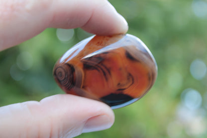 Crazy Lace Silk Banded Agate Tumbled Stone from Madagascar 39g Rocks and Things