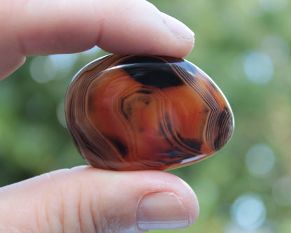 Crazy Lace Silk Banded Agate Tumbled Stone from Madagascar 39g Rocks and Things