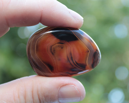 Crazy Lace Silk Banded Agate Tumbled Stone from Madagascar 39g Rocks and Things