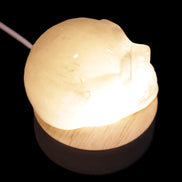 Round wooden 6 LED light base warm white 60mm USB with switch 56g in sunlight - Rocks and Things Store