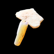 Natural Australian opal 26/22mm 19.5ct 3.9g in sunlight - Rocks and Things Store