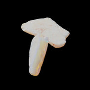 Natural Australian opal 26/22mm 19.5ct 3.9g in sunlight - Rocks and Things Store