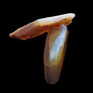 Natural Australian opal 26/22mm 19.5ct 3.9g in sunlight - Rocks and Things Store