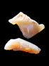 Natural Australian opal 2 stones 21/20mm 15.5ct 3.1g in sunlight - Rocks and Things Store