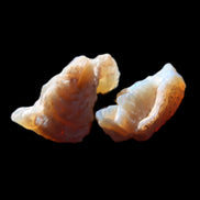 Natural Australian opal 2 stones 21/20mm 15.5ct 3.1g in sunlight - Rocks and Things Store