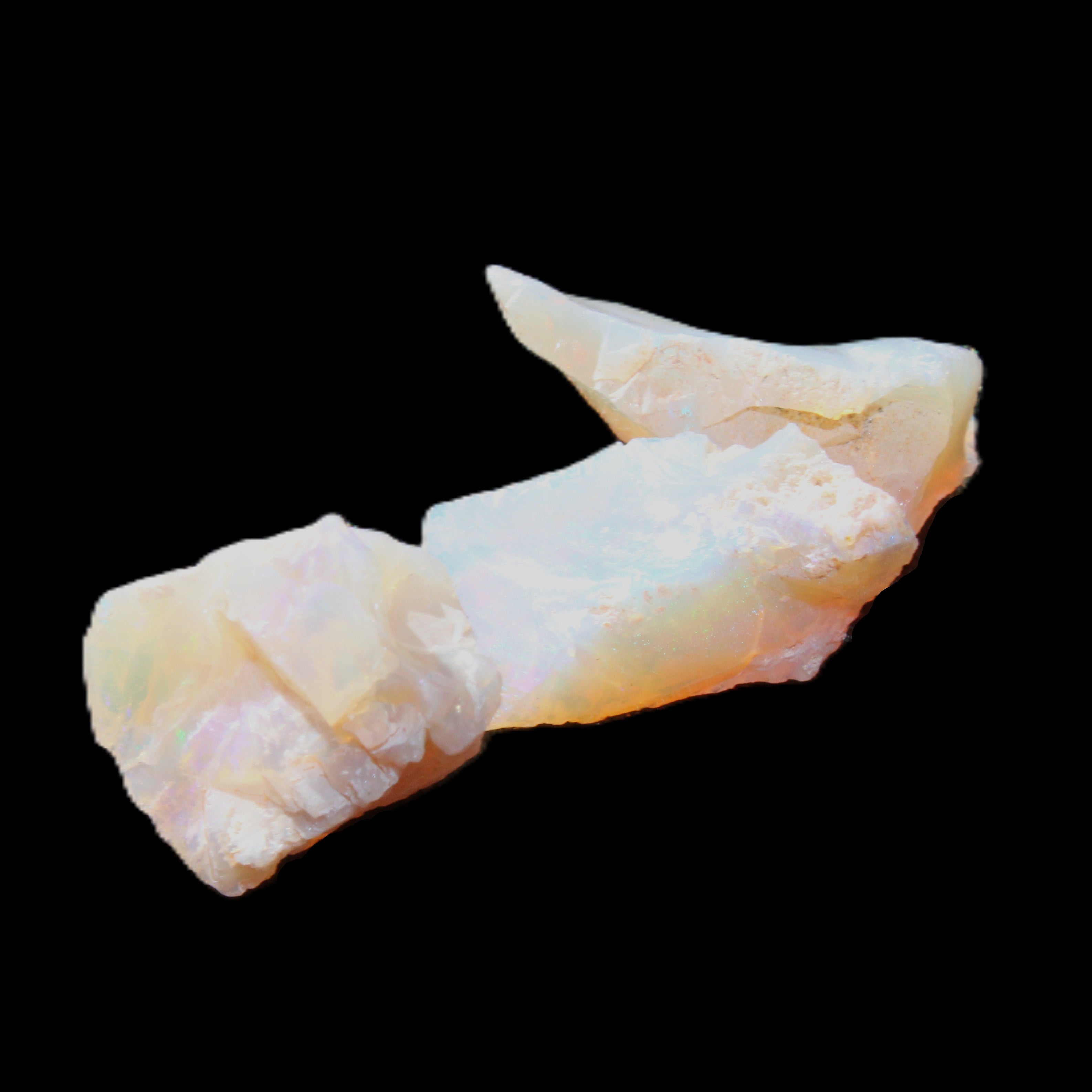 Natural Australian opal 3 stones 11-16mm 2.9-3.2g in sunlight - Rocks and Things Store