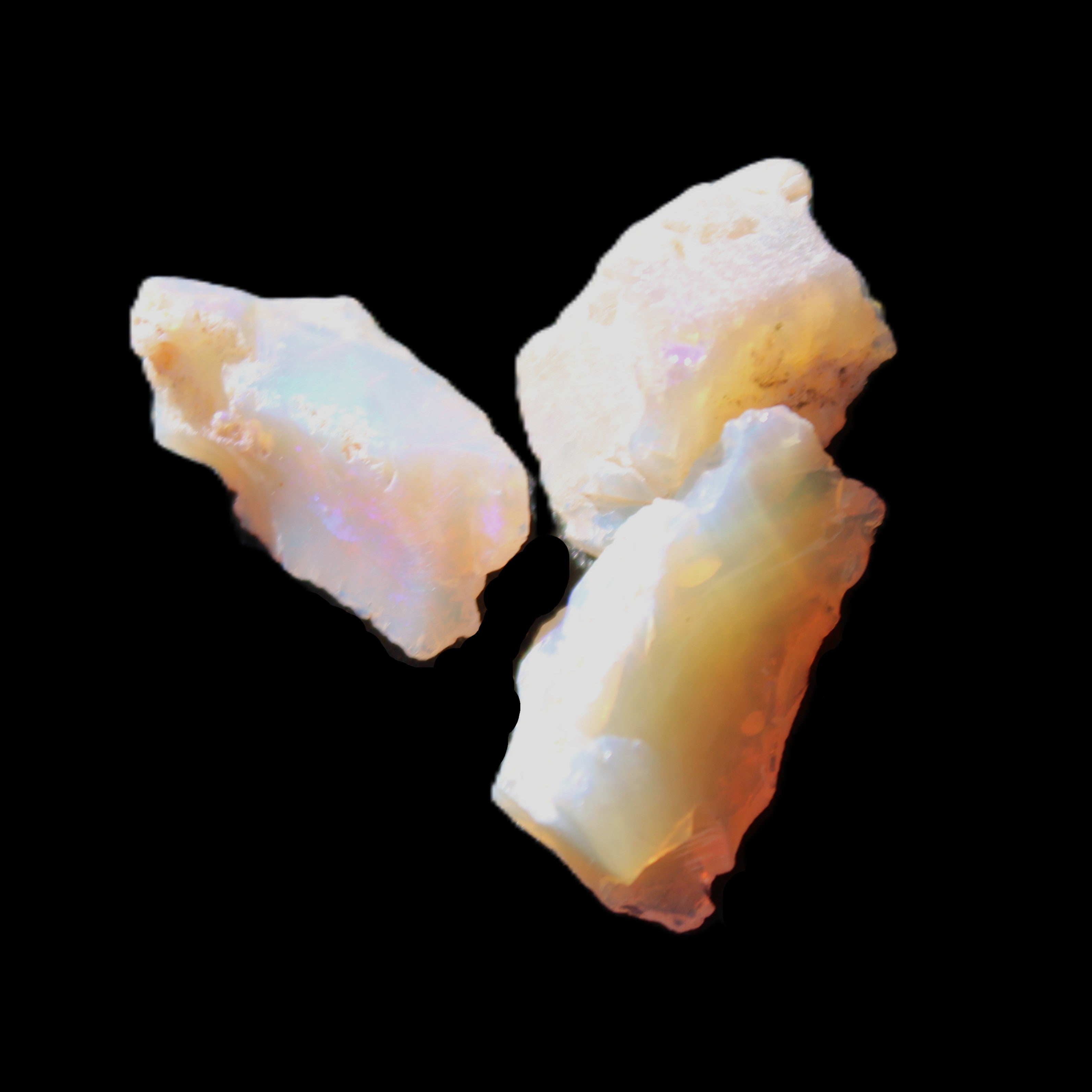 Natural Australian opal 3 stones 11-16mm 2.9-3.2g in sunlight - Rocks and Things Store