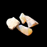 Australian opal 12/11/11/9mm 9ct 1.8g in bright sunlight - Rocks and Things Store