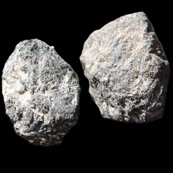 Black Tourmaline 2 rough crystals 32/36mm 45g in sunlight - Rocks and Things Store