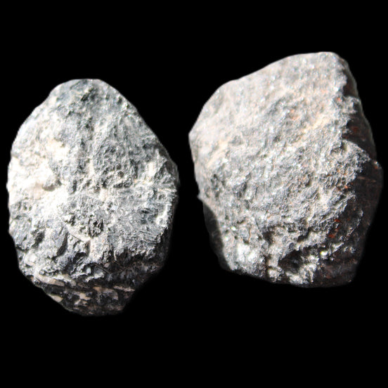 Black Tourmaline 2 rough crystals 32/36mm 45g in sunlight - Rocks and Things Store