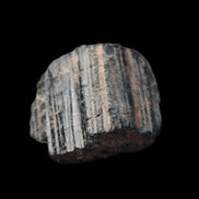 Black Tourmaline crystal 32*28*14mm 26g in sunlight - Rocks and Things Store