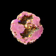 Electric Purple Agate electroplated geode 30mm 7-8g in sunlight - Rocks and Things Store