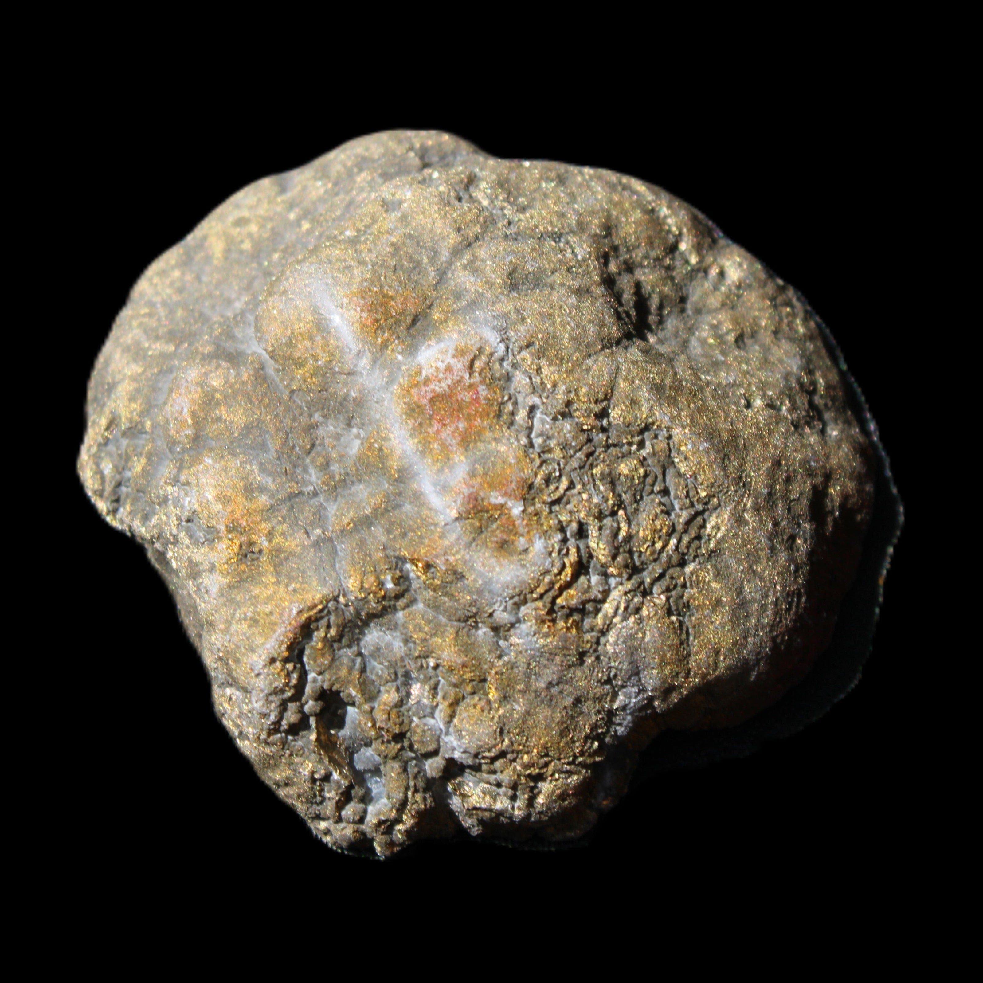 Electric Purple Agate electroplated geode 42mm 18.5g in sunlight - Rocks and Things Store