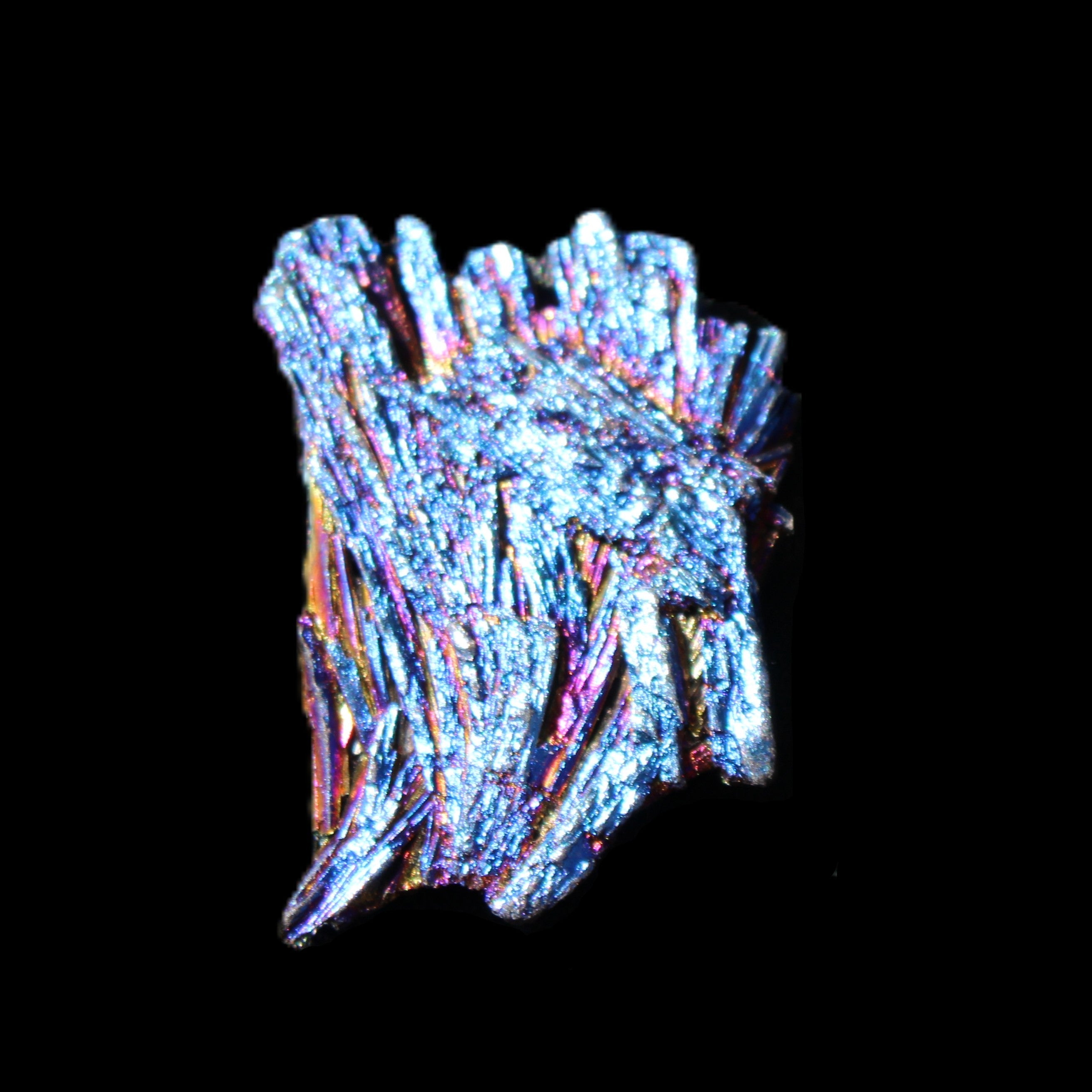 Titanium electroplated Tourmaline feather crystal 5.7g in sunlight - Rocks and Things Store