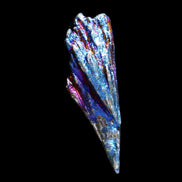 Titanium electroplated Tourmaline feather crystal 5.7g in sunlight - Rocks and Things Store