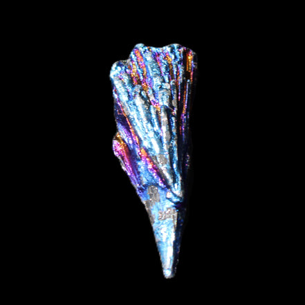 Titanium electroplated Tourmaline feather crystal 5.7g in sunlight - Rocks and Things Store