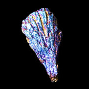 Titanium electroplated Tourmaline feather crystal 8/9g in sunlight - Rocks and Things Store