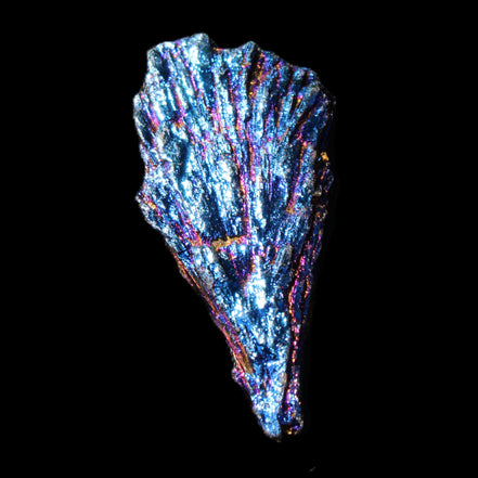 Titanium electroplated Tourmaline feather crystal 8/9g in sunlight - Rocks and Things Store