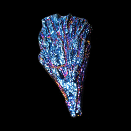 Titanium electroplated Tourmaline feather crystal 8/9g in sunlight - Rocks and Things Store