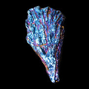 Titanium electroplated Tourmaline feather crystal 8/9g in sunlight - Rocks and Things Store