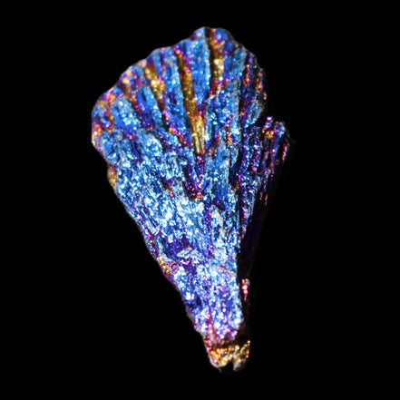 Titanium electroplated Tourmaline feather crystal 8/9g in sunlight - Rocks and Things Store