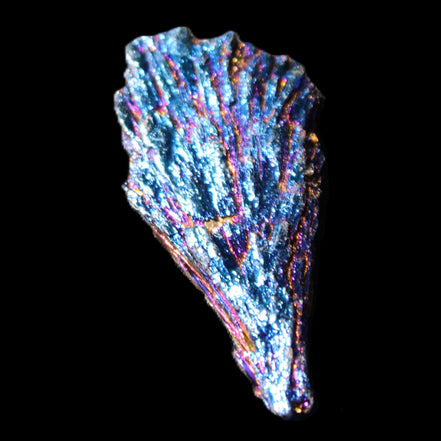 Titanium electroplated Tourmaline feather crystal 8/9g in sunlight - Rocks and Things Store