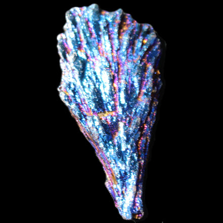 Titanium electroplated Tourmaline feather crystal 8/9g in sunlight - Rocks and Things Store