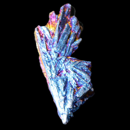 Titanium electroplated Tourmaline feather crystal 8/9g in sunlight - Rocks and Things Store