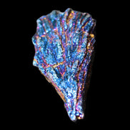 Titanium electroplated Tourmaline feather crystal 8/9g in sunlight - Rocks and Things Store