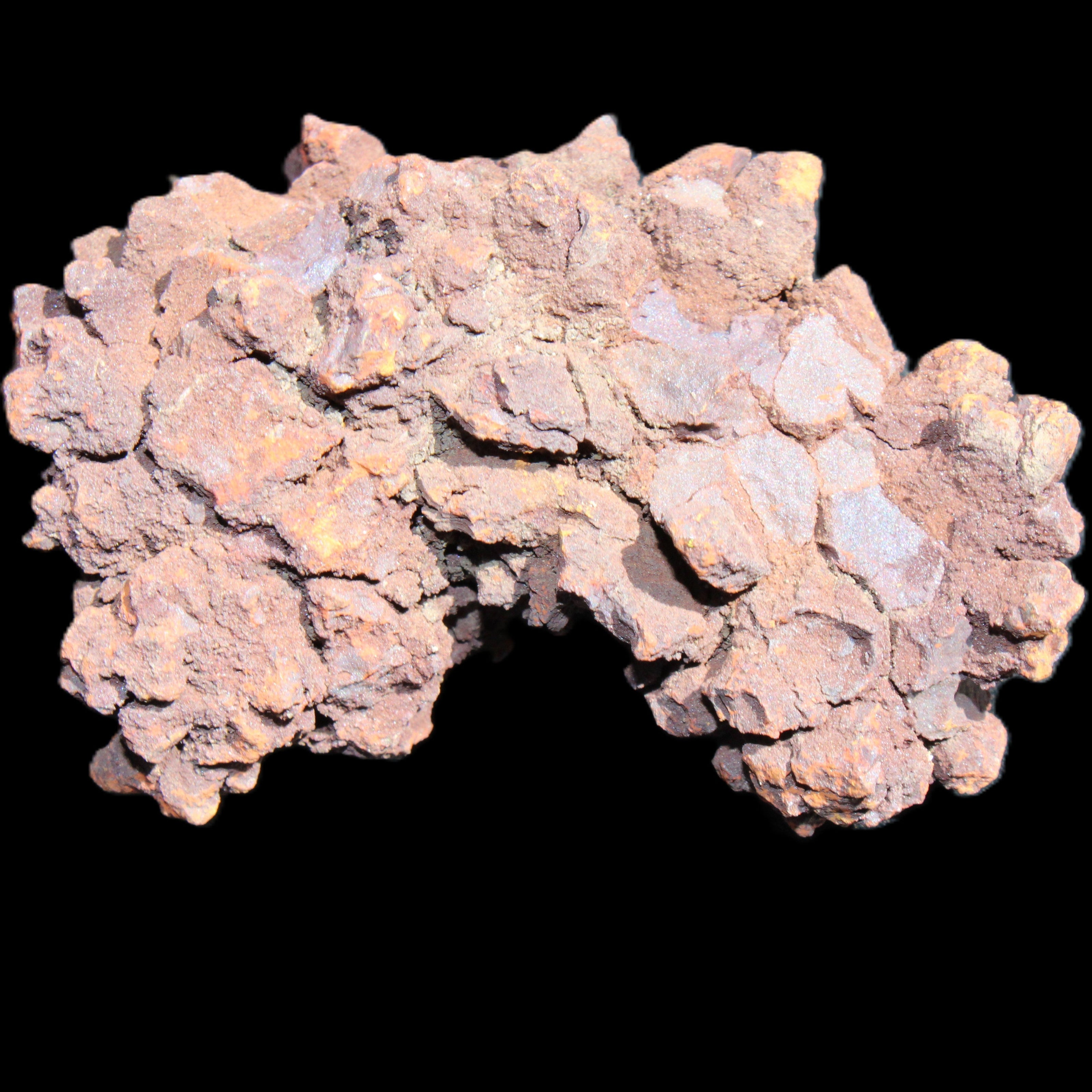 Jurassic Coprolite from Madagascar 78*53*42mm 150g in sunlight - Rocks and Things Store