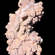 Jurassic Coprolite from Madagascar 78*53*42mm 150g in sunlight - Rocks and Things Store