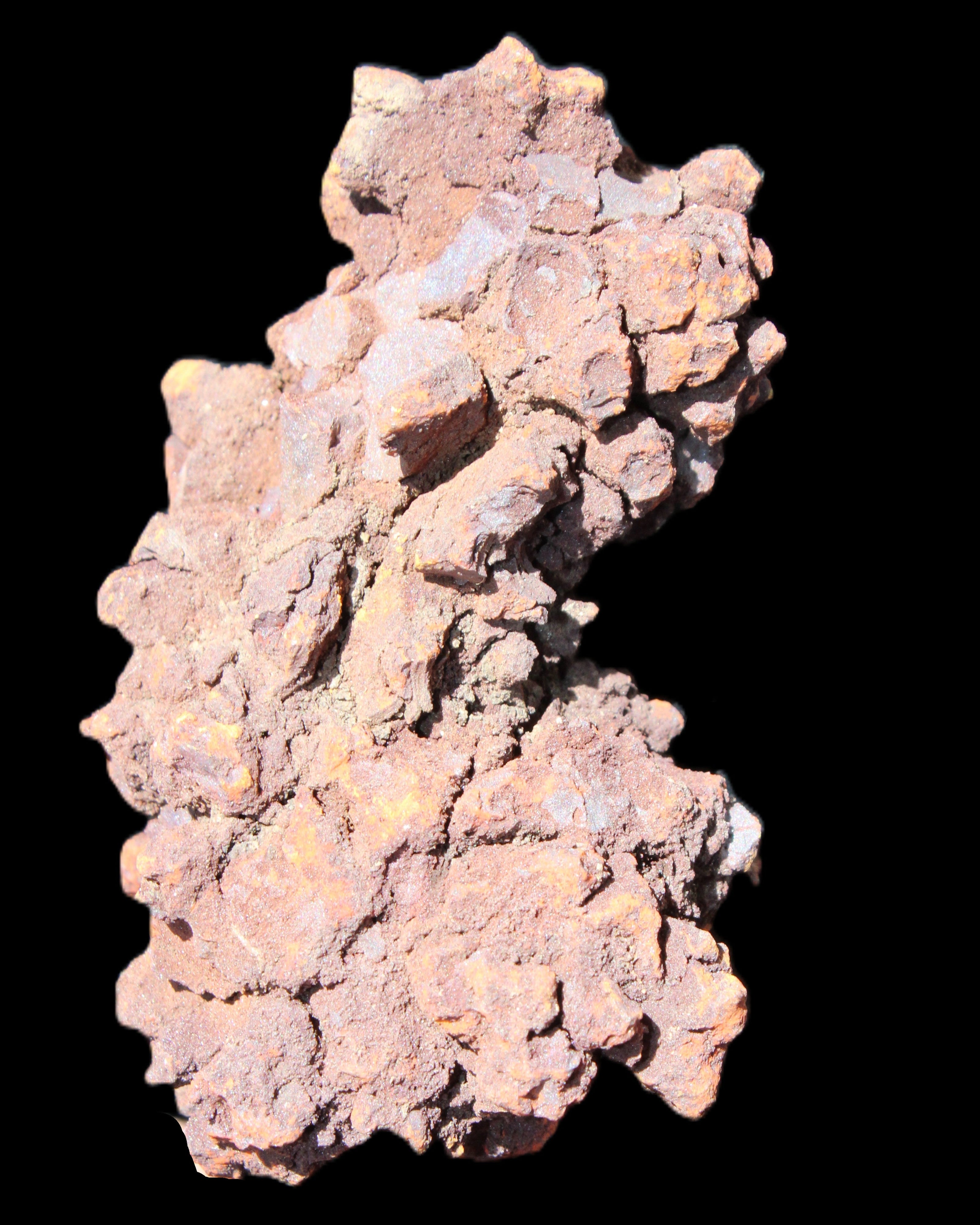 Jurassic Coprolite from Madagascar 78*53*42mm 150g in sunlight - Rocks and Things Store