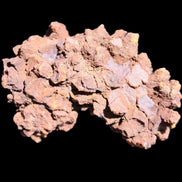 Jurassic Coprolite from Madagascar 78*53*42mm 150g in sunlight - Rocks and Things Store