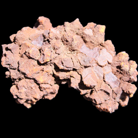Jurassic Coprolite from Madagascar 78*53*42mm 150g in sunlight - Rocks and Things Store