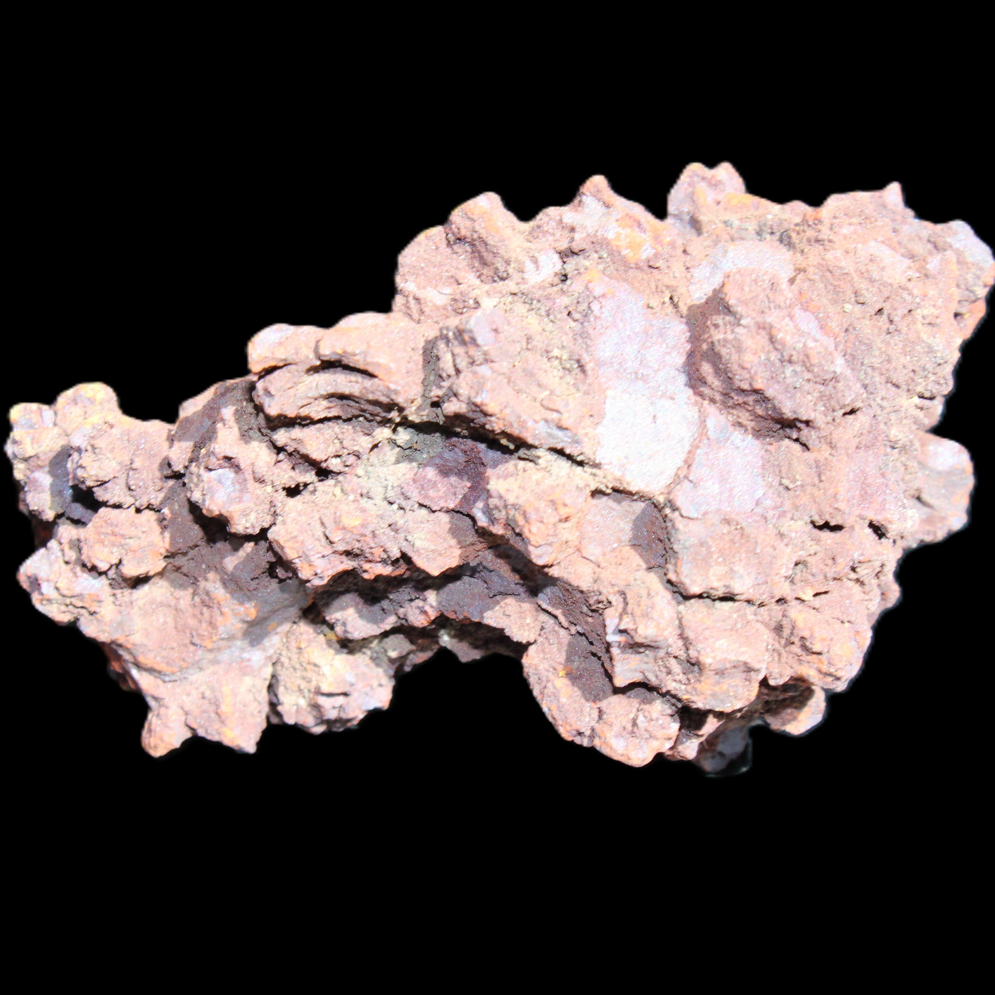 Jurassic Coprolite from Madagascar 78*53*42mm 150g in sunlight - Rocks and Things Store