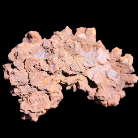 Jurassic Coprolite from Madagascar 78*53*42mm 150g in sunlight - Rocks and Things Store