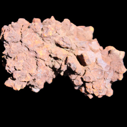 Jurassic Coprolite from Madagascar 78*53*42mm 150g in sunlight - Rocks and Things Store