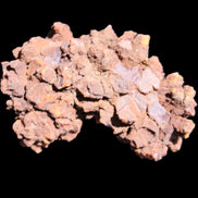 Jurassic Coprolite from Madagascar 78*53*42mm 150g in sunlight - Rocks and Things Store