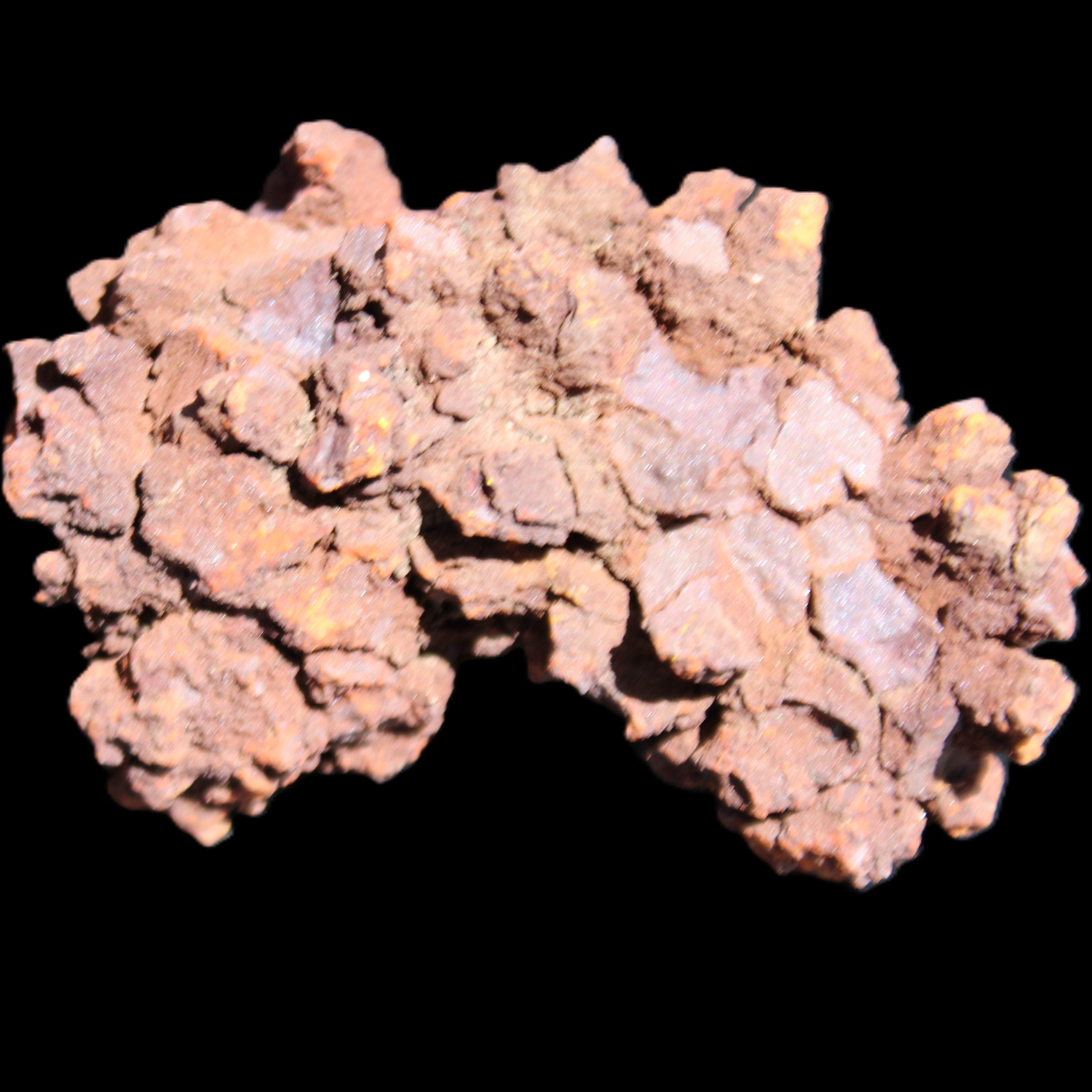 Jurassic Coprolite from Madagascar 78*53*42mm 150g in sunlight - Rocks and Things Store