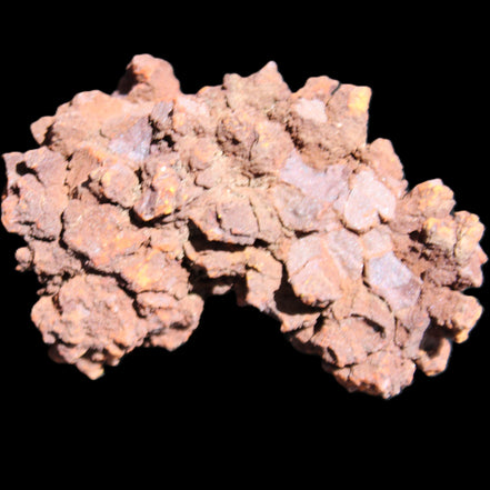 Jurassic Coprolite from Madagascar 78*53*42mm 150g in sunlight - Rocks and Things Store