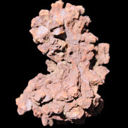 Jurassic Coprolite from Madagascar 78*53*42mm 150g in sunlight - Rocks and Things Store