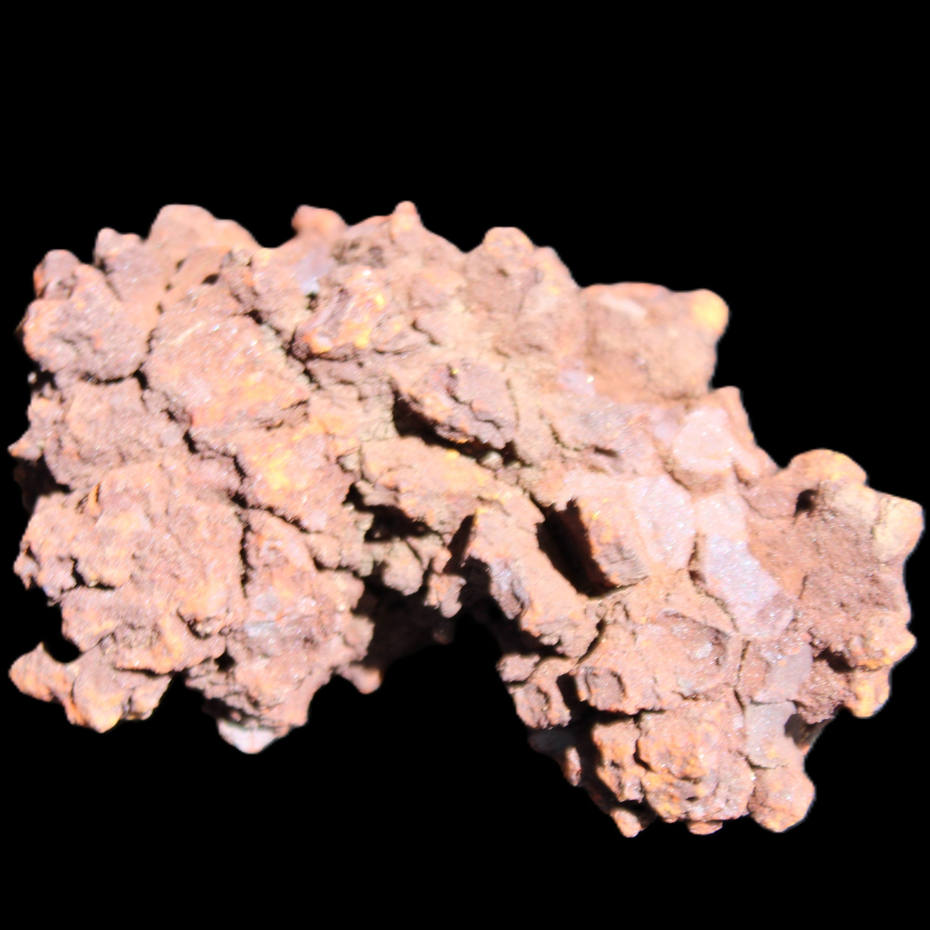 Jurassic Coprolite from Madagascar 78*53*42mm 150g in sunlight - Rocks and Things Store