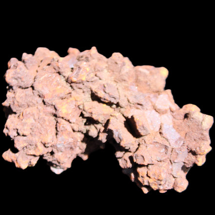 Jurassic Coprolite from Madagascar 78*53*42mm 150g in sunlight - Rocks and Things Store