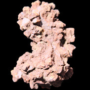 Jurassic Coprolite from Madagascar 78*53*42mm 150g in sunlight - Rocks and Things Store