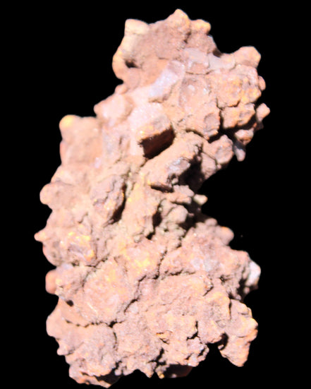 Jurassic Coprolite from Madagascar 78*53*42mm 150g in sunlight - Rocks and Things Store