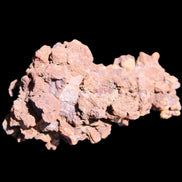 Jurassic Coprolite from Madagascar 78*53*42mm 150g in sunlight - Rocks and Things Store