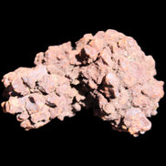 Jurassic Coprolite from Madagascar 78*53*42mm 150g in sunlight - Rocks and Things Store