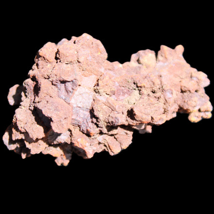 Jurassic Coprolite from Madagascar 78*53*42mm 150g in sunlight - Rocks and Things Store